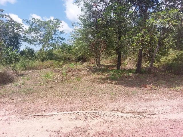 Terreno à venda  - Foto 3
