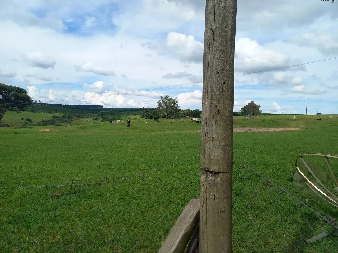 Imóvel para venda tem 363.000 m2, Piracicaba - SP - Foto 5