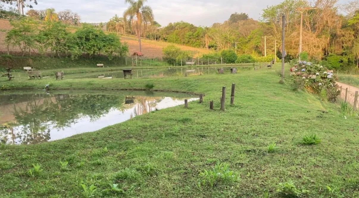 Terreno em Sítio  - Foto 4