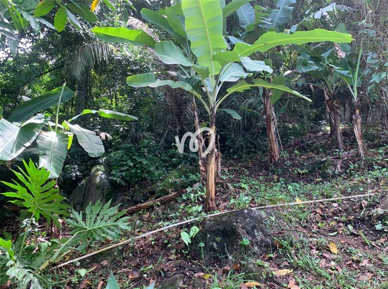 TERRENO de FÁCIL ACESSO à PRAIA de JUNQUEIRA - Foto 3