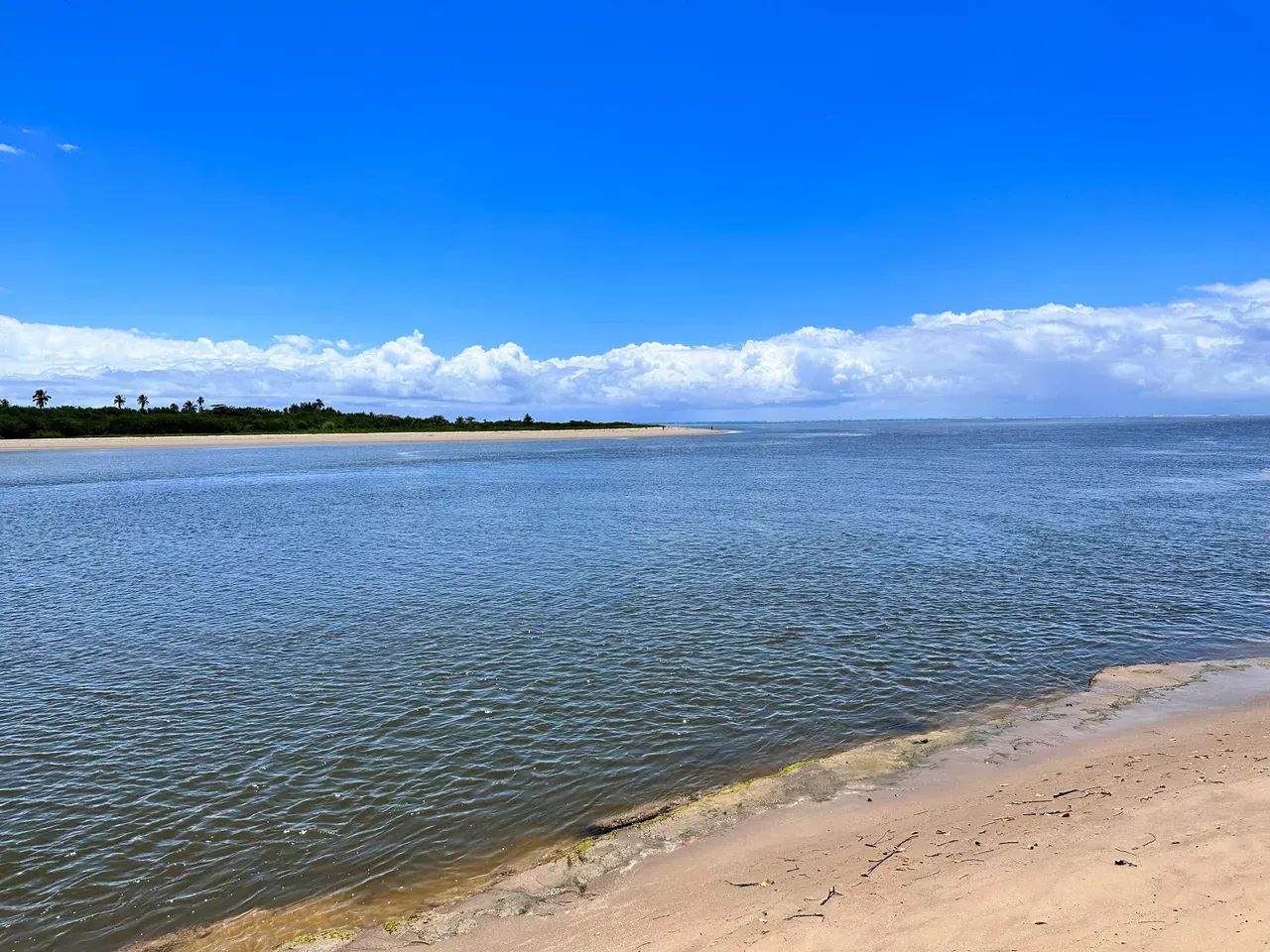 Japaratinga. Área com 8 hectares (80mil metros quadrados), Litoral Nortee - Foto 10