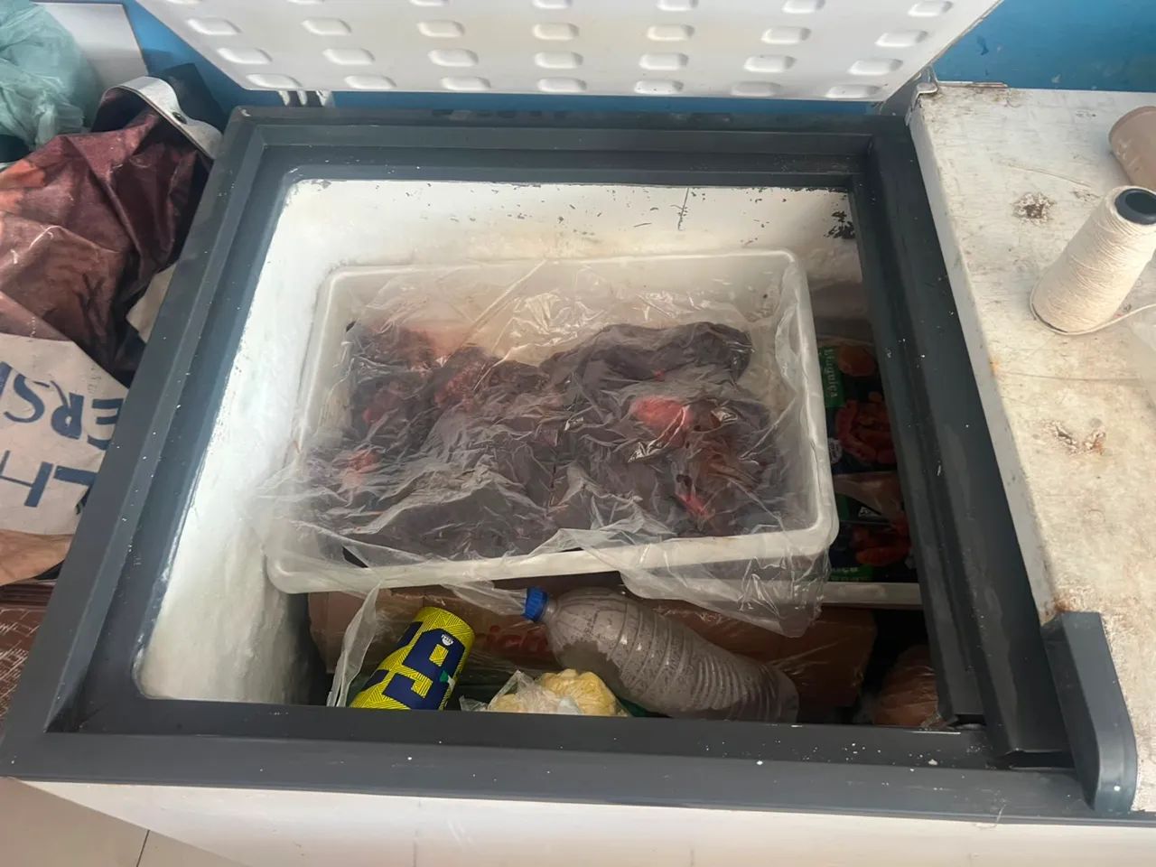 Freezer  - Foto 2