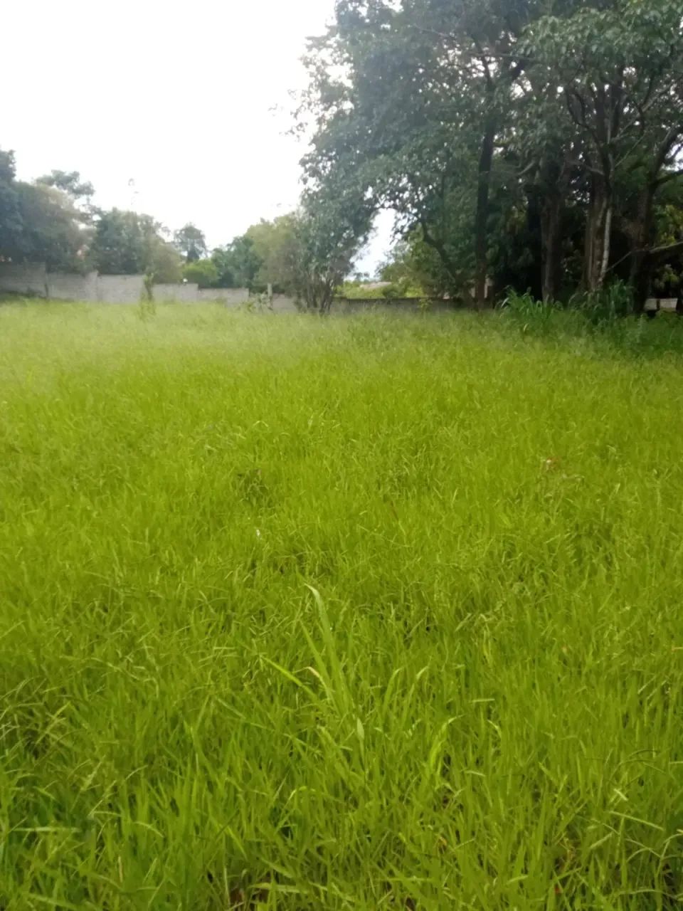 VIANOPOLIS - BETIM/MG. - Foto 5