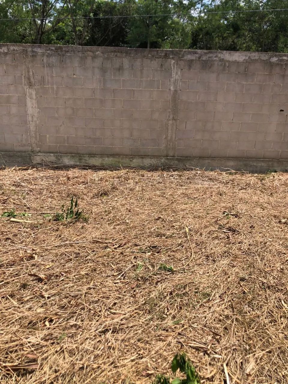 Aluga-se terreno sem benfeitorias