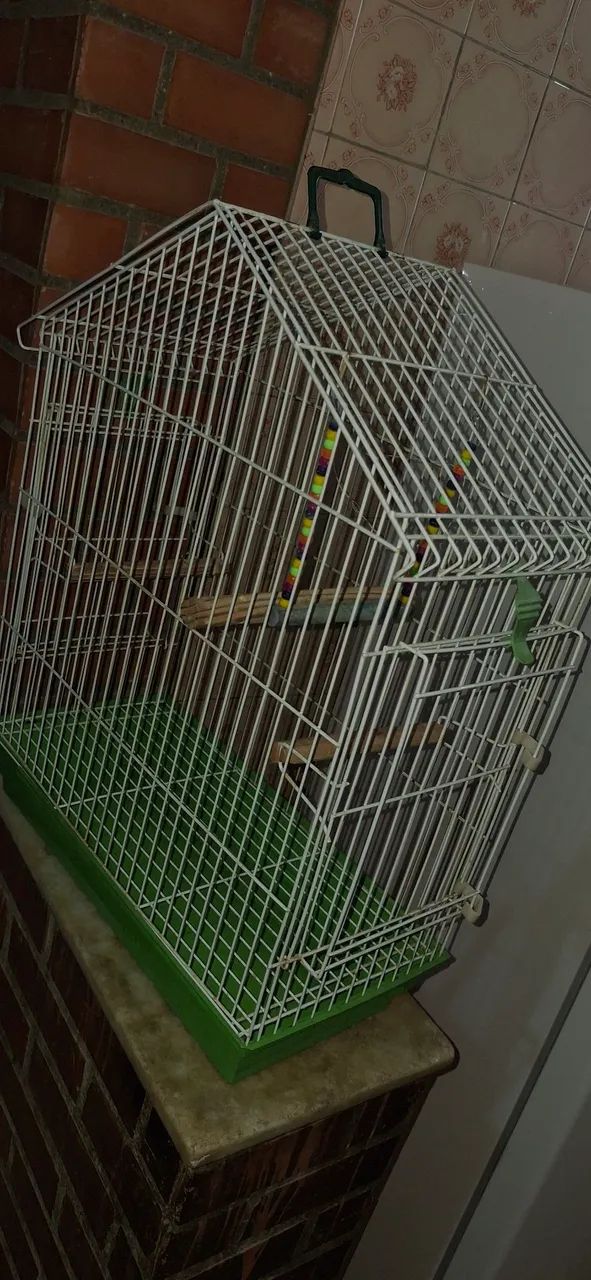 gaiola para passaros