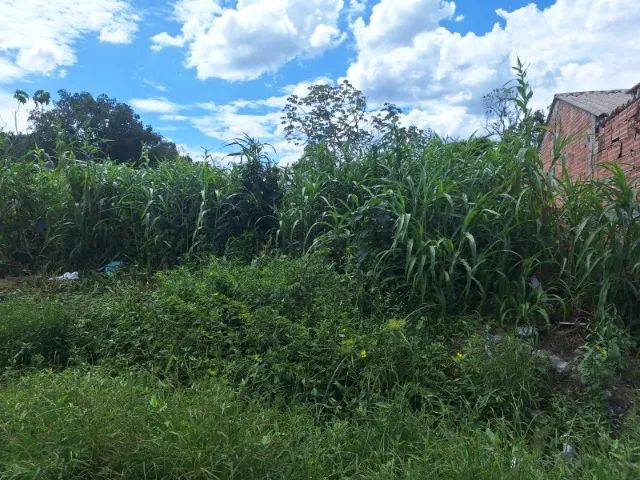 Terreno a venda em Mongaguá com documentação em dia, com 255m2 e com  escritura definitiva - Foto 4