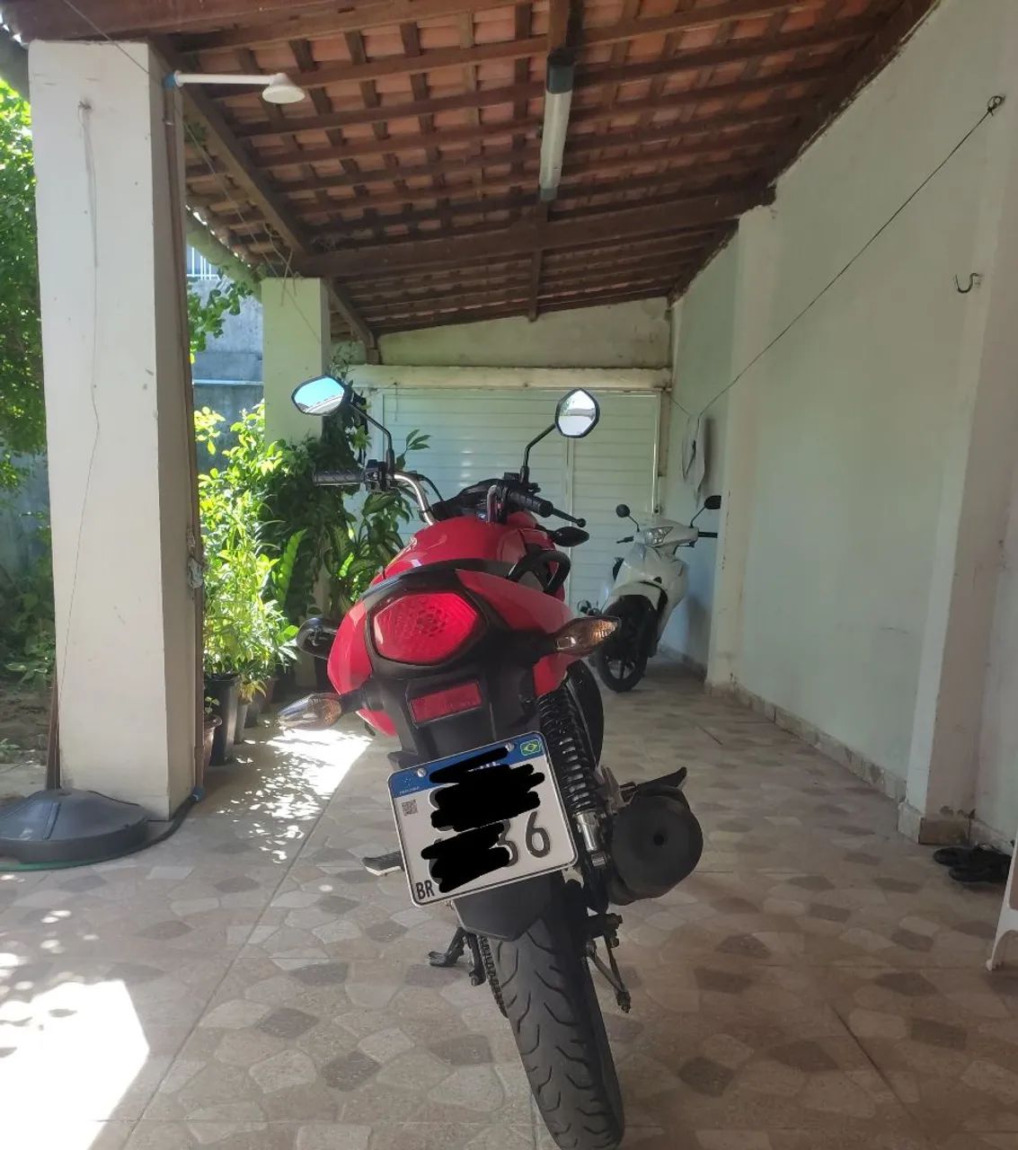 Fan 2024 - Foto 2