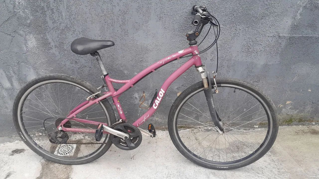 Bicicleta calloi  - Foto 3