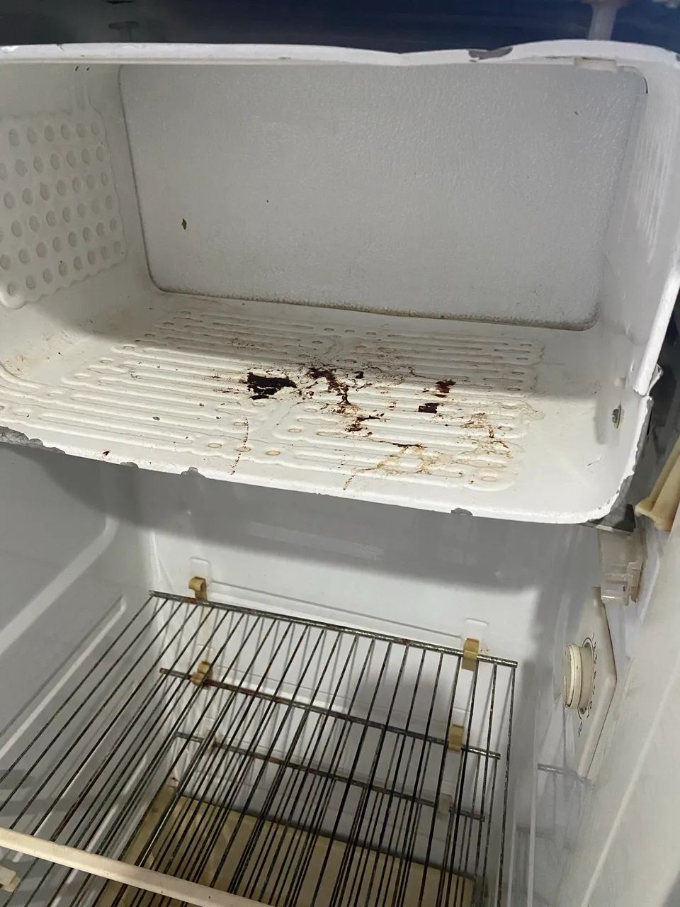 Geladeira  - Foto 4
