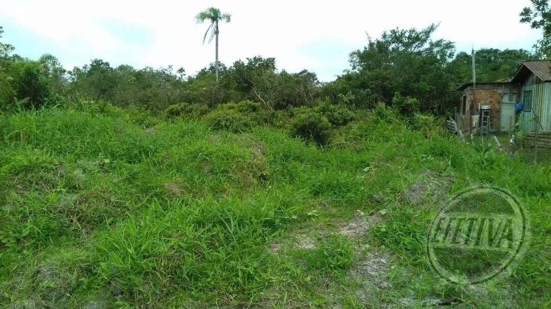 TERRENO 450 M² - COROADOS - Foto 5