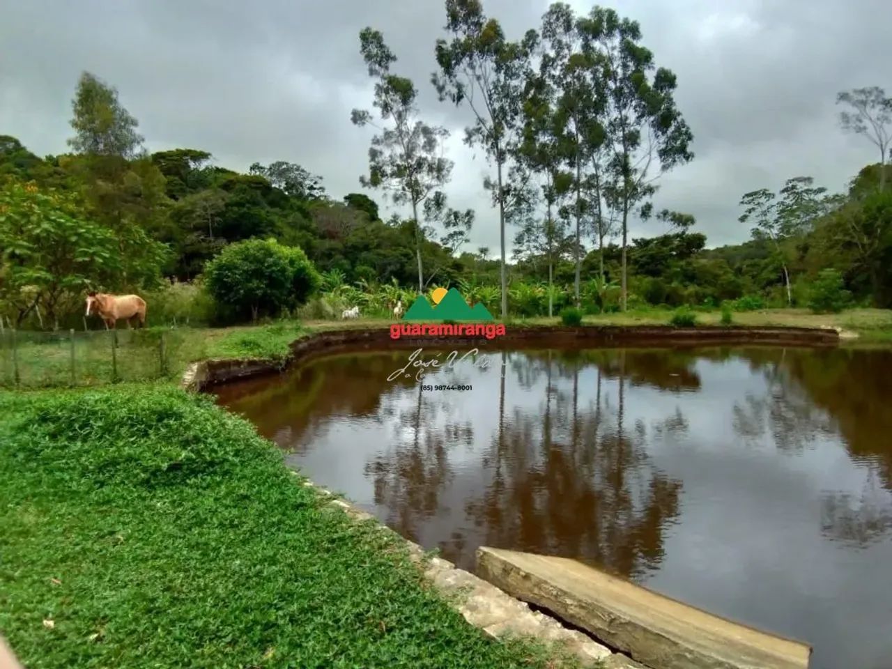 Sítio de 4 ha, casa principal com 05 suítes, baias de cavalos e lago perene em G - Foto 4