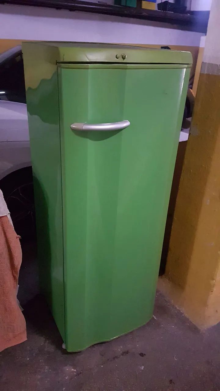 Geladeira Eletrolux 220L - Foto 4