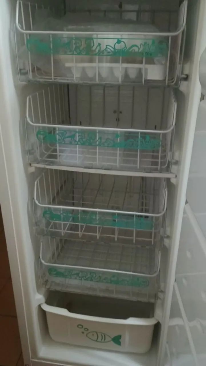 Freezer vertical