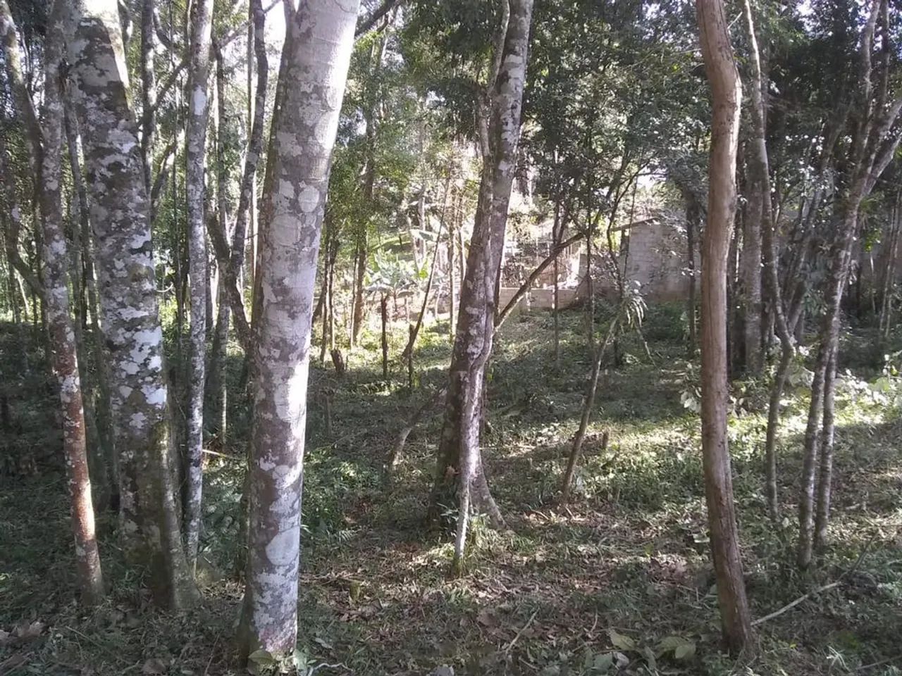 Terreno à Venda em Caputera, Cotia - SP