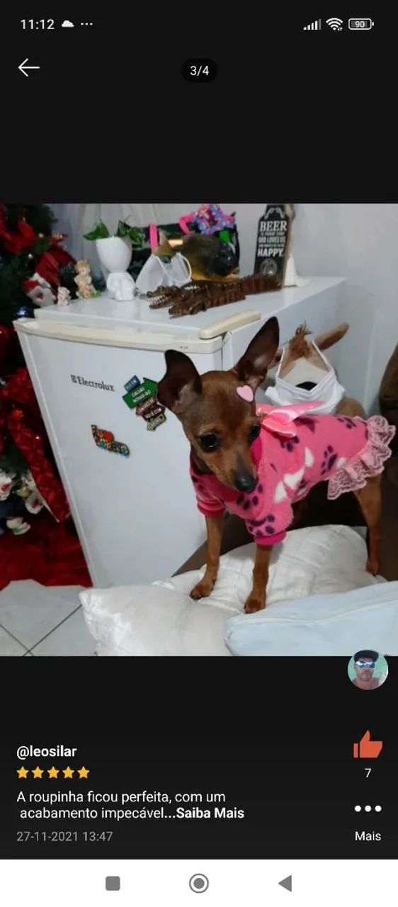 Roupa para pinscher zero