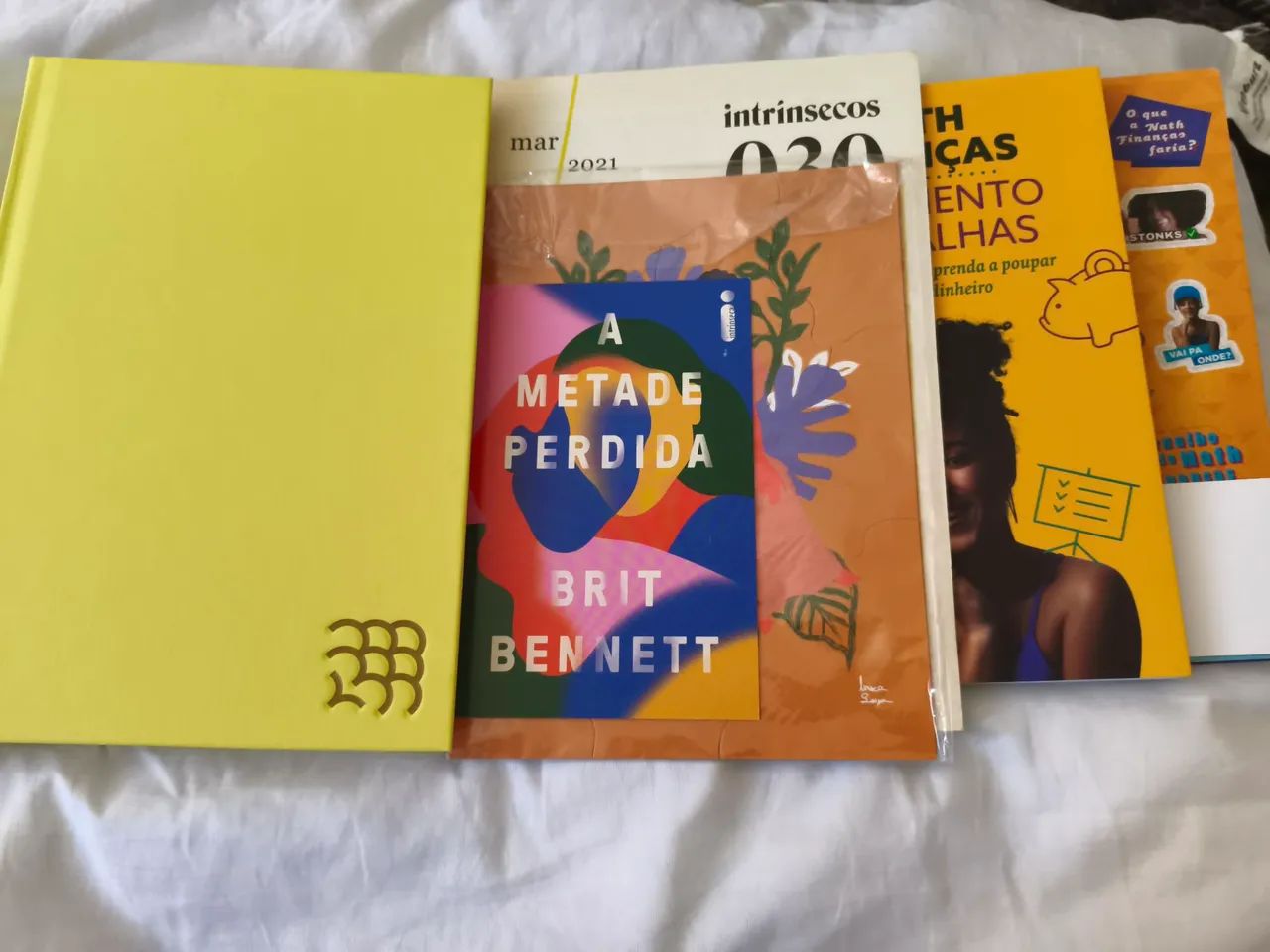 A Metade Perdida - Coleção Intrínseco 