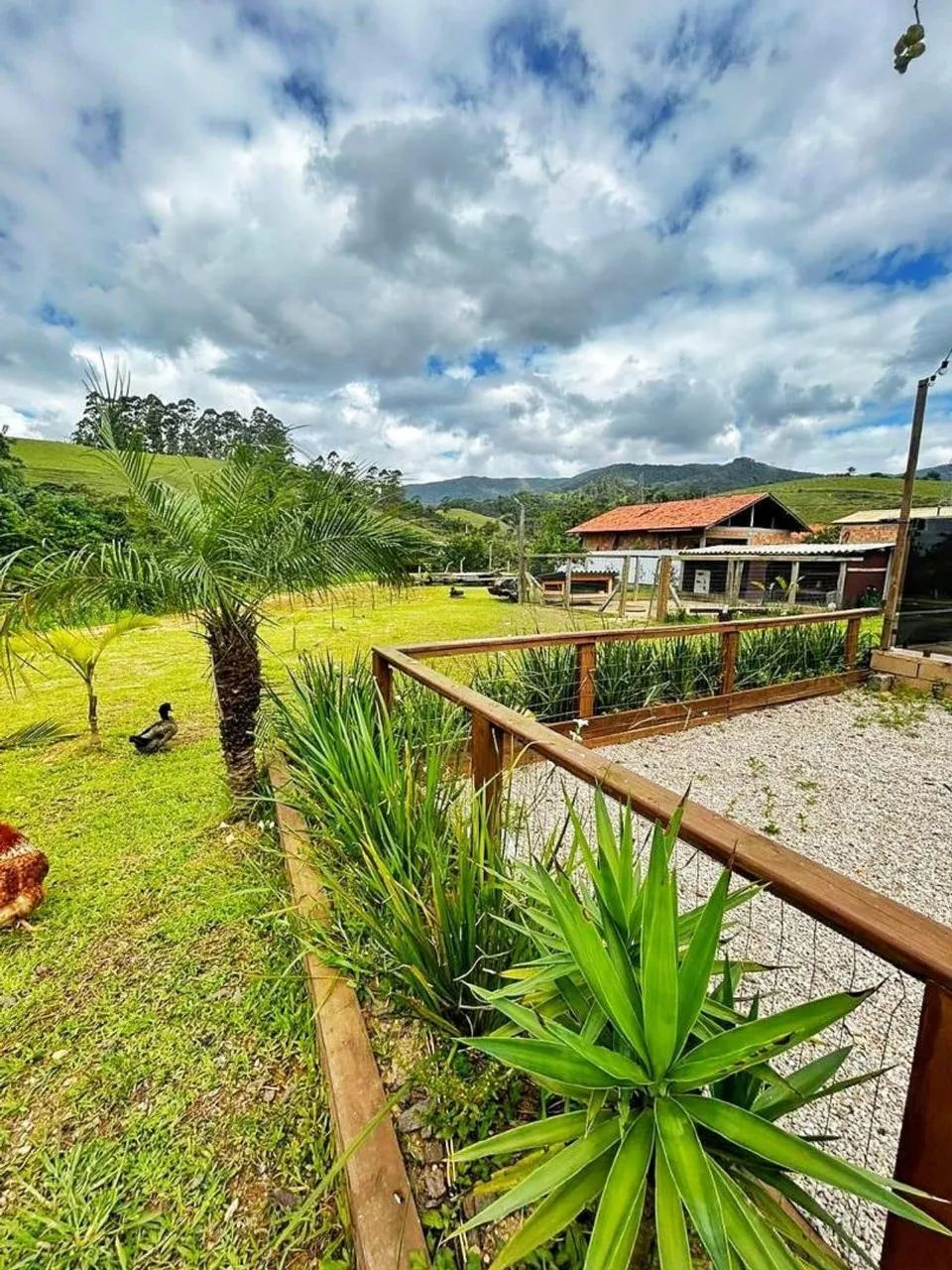 SITIO a VENDA CANELINHA SC - Foto 5