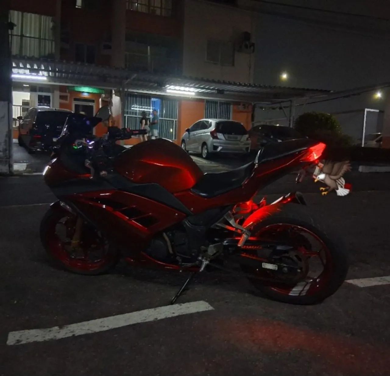 Kawasaki Ninja 300 - Foto 4