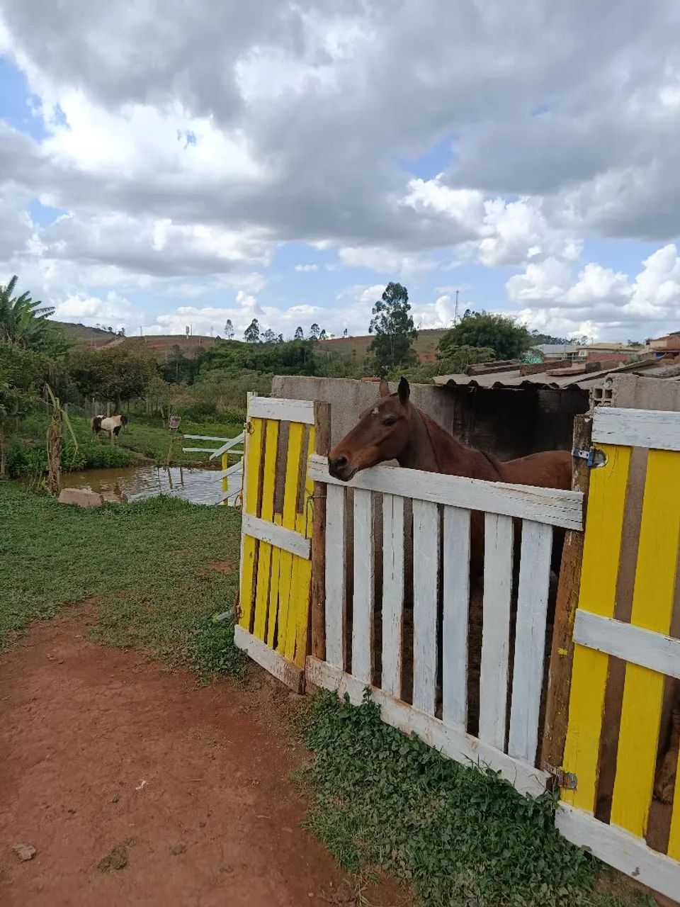 Vende-se  - Foto 5