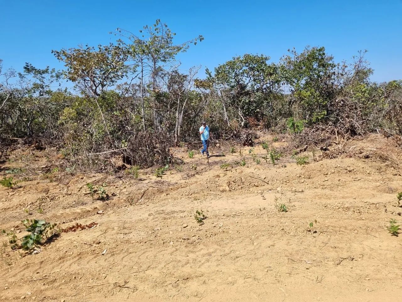 Fazendinha Baldim mg - Foto 3