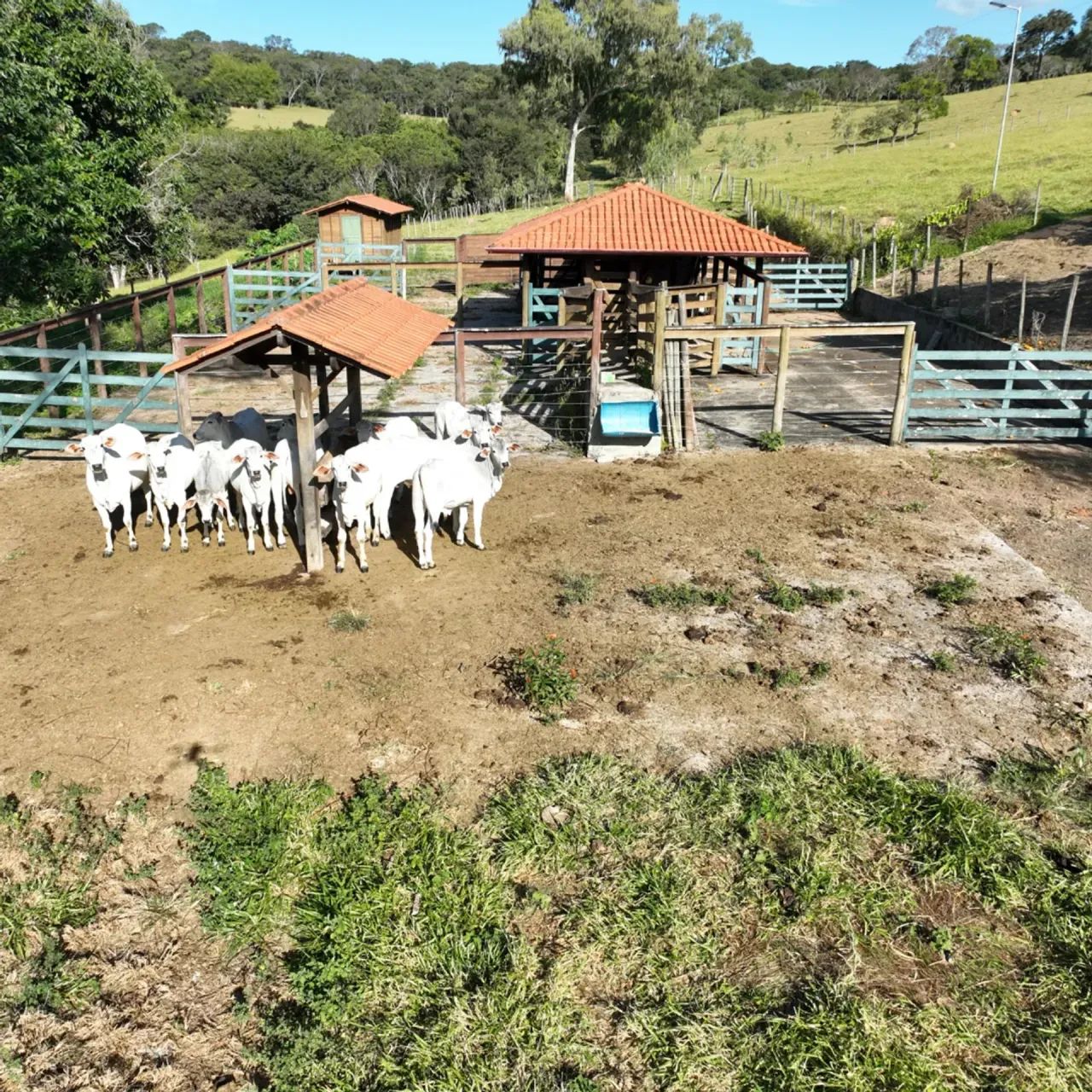 Fazenda Lagoa Privativa - Foto 3