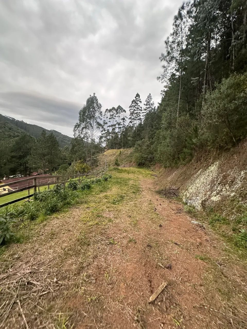 Vendo sítio em Anitapolís  - Foto 5