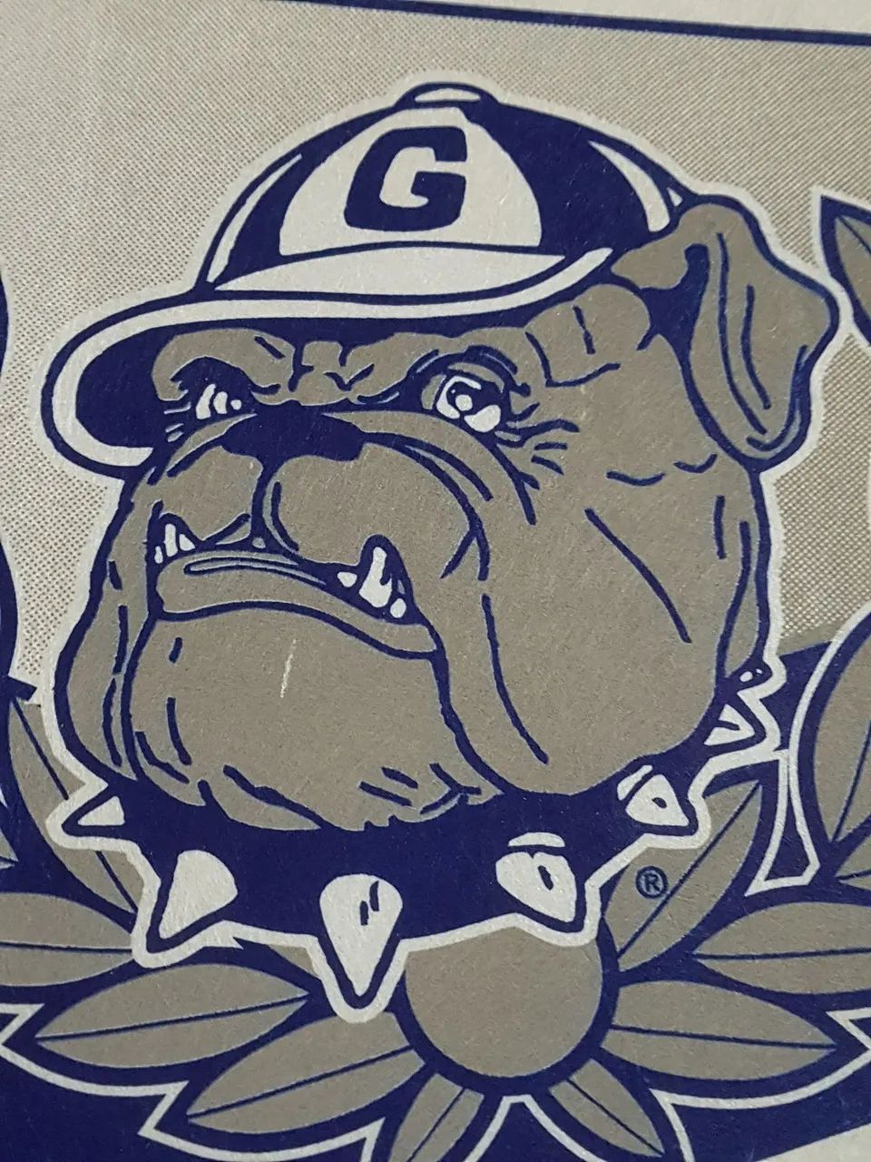 Flâmula baseball do Georgetown. - Foto 5