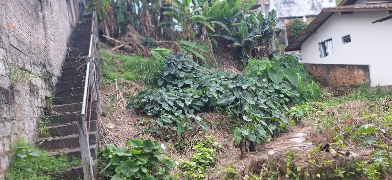 Terreno à venda na Trindade - Foto 2