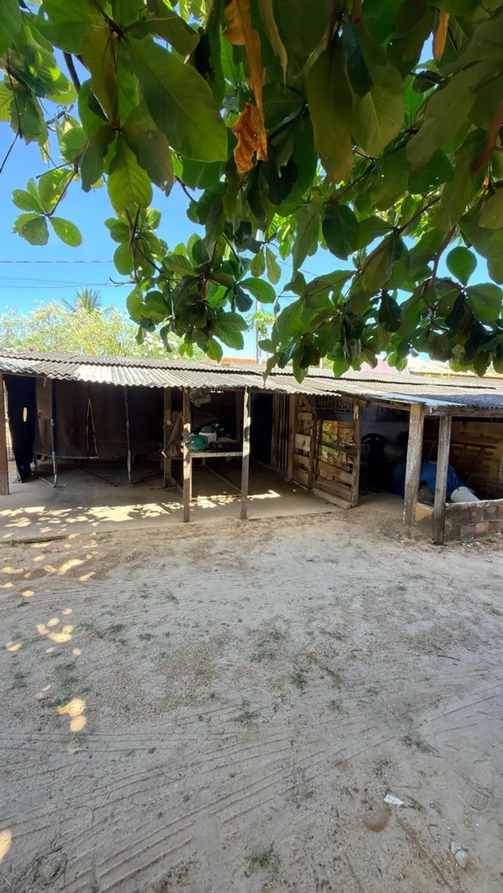 Vendo chácara em povoado Areia Branca, Mosqueiro  - Foto 5