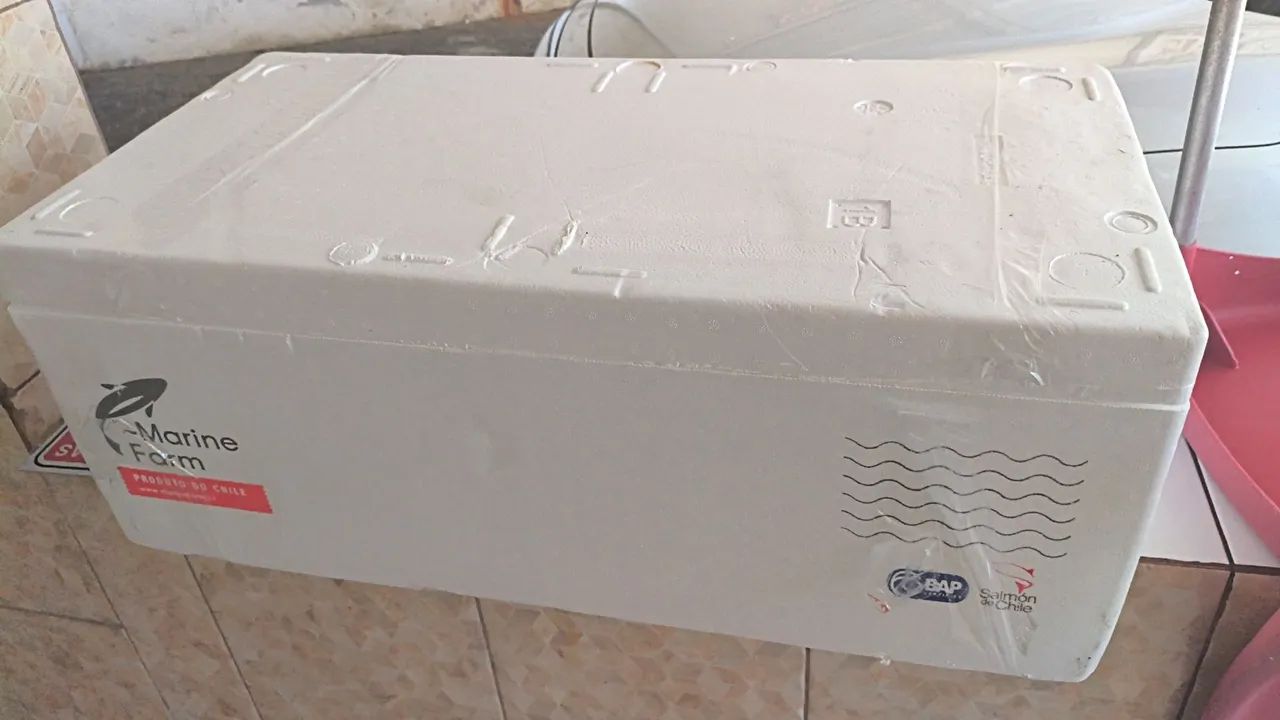 Caixas isopor  - Foto 3