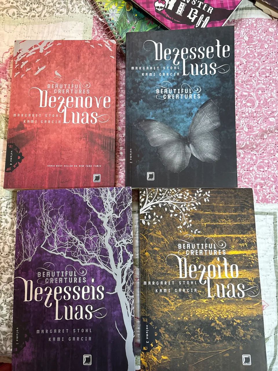 16 luas livros 