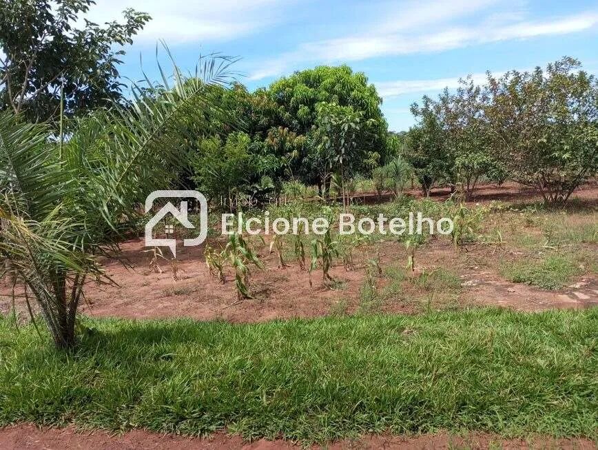 Chácara à venda, 2 quartos, 6 vagas, CENTRO - MONTE ALEGRE DE MINAS/MG - Foto 4
