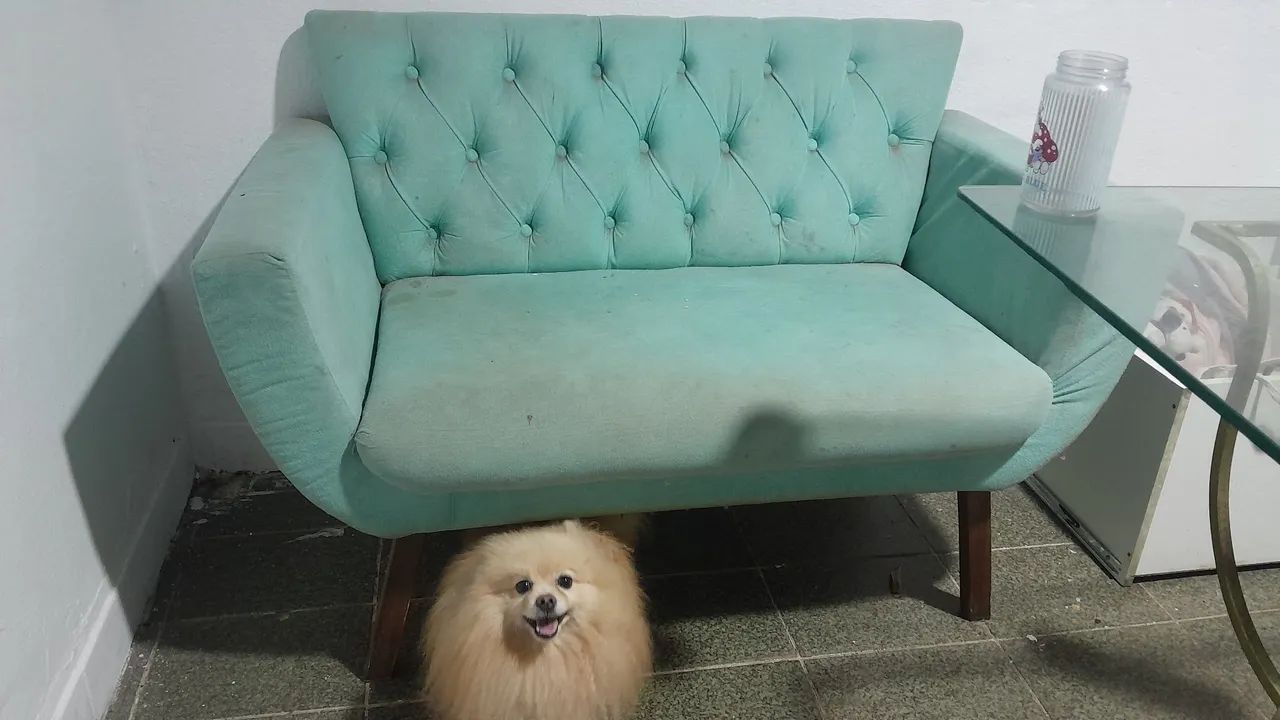Sofa 230