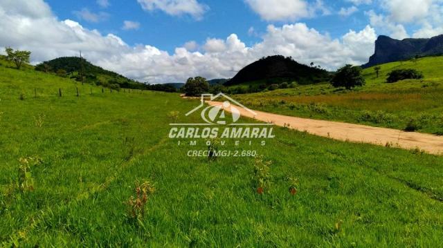 Fazenda à venda, , zona rural - carlos chagas/mg - Foto 2