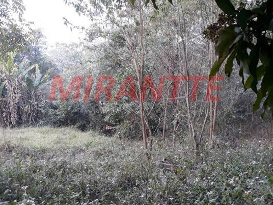 Terreno à venda em Serra da cantareira, São paulo cod:308548