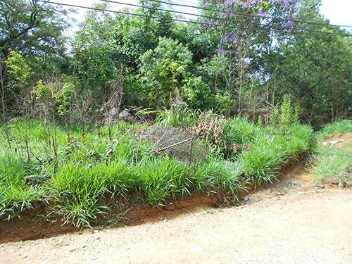 Terreno à venda em Jaçana, São paulo cod:136982