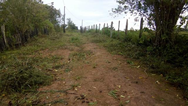 Fazenda 100000 m² - Foto 10