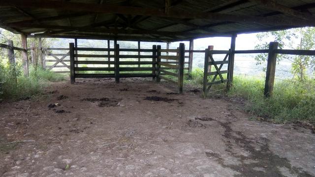 Fazenda 100000 m² - Foto 7