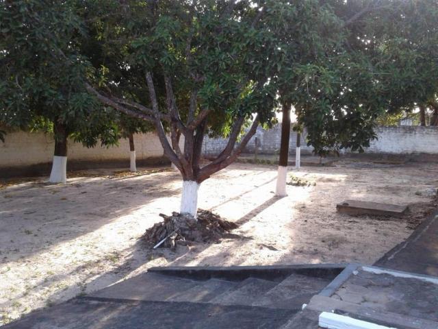 Chácara com 2 dormitórios à venda, 2400 m² por r$ 800.000,00 - araçagy - são josé de ribam - Foto 2