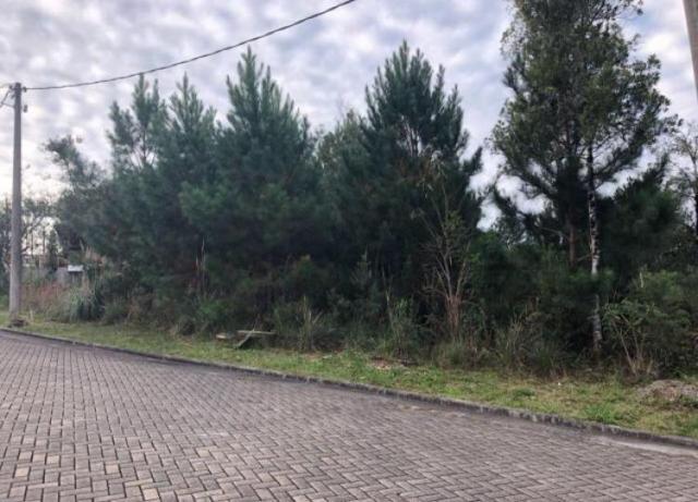 Terreno à venda, 487 m² por r$ 320.000,00 - vivendas do arvoredo - gramado/rs
