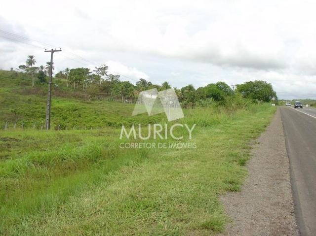 Terreno à venda em Nova candeias, Candeias cod:55593 - Foto 5