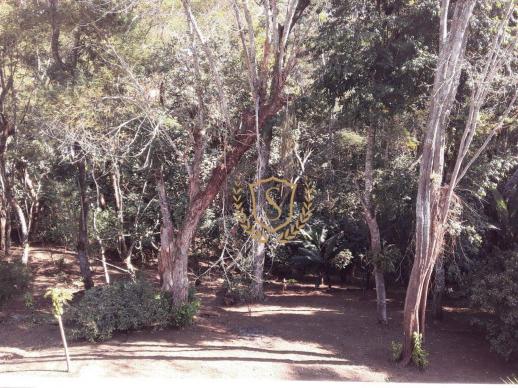 Terreno à venda, 1600 m² por r$ 100.000 - parque do imbui - teresópolis/rj - Foto 3