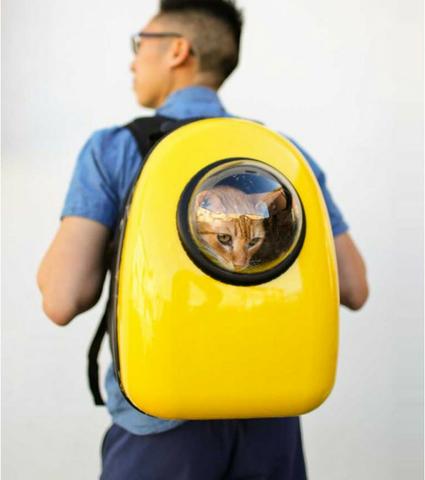 Mochila Bolsa Pet x 12x R$ 23,50 x Entrega Grátis x Garantia 3 m - Foto 3