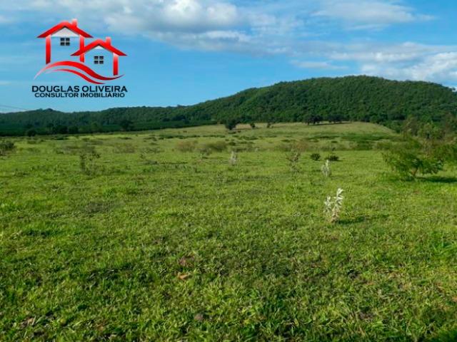 Sitio de 23 Alqueires em Pedregulho - Foto 7