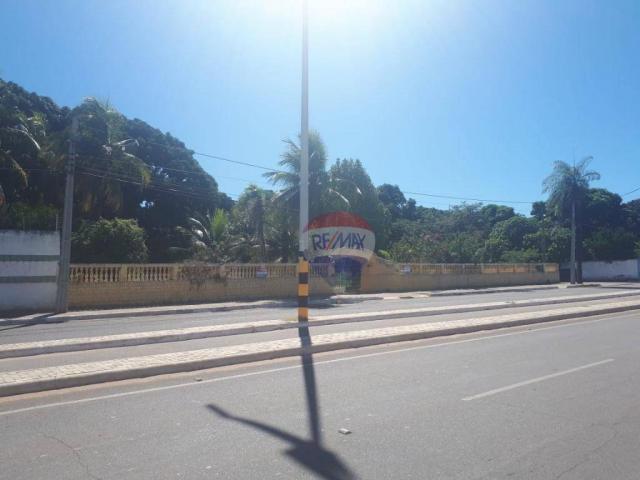 Terreno a venda, Avenida Virgílio Távora, Juazeiro do Norte! - Foto 3