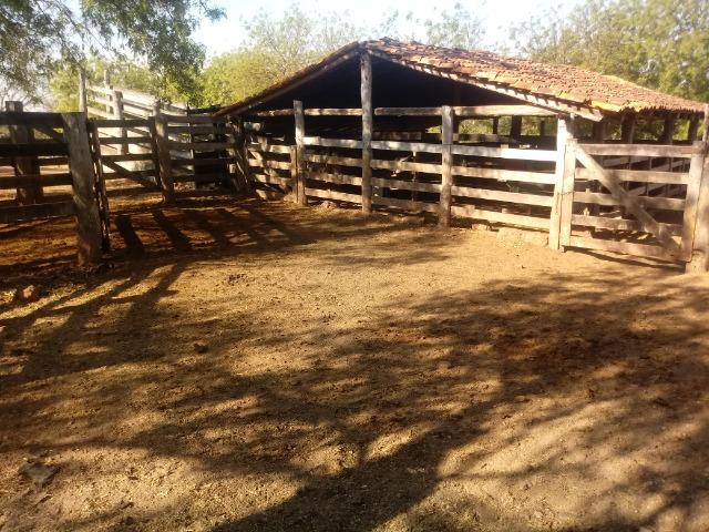Fazenda 1455 hectares, em Acorizal, formado 900 hec - Foto 8