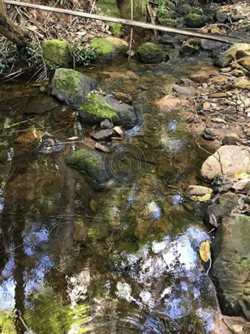 Chacara região da serra de são vicente - Foto 18