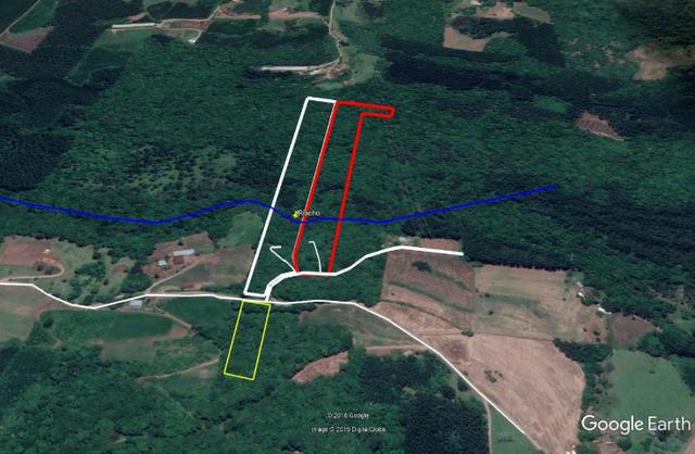 Chácara em Nova Petrópolis com 5000 m² - Pinhal Alto - Foto 8