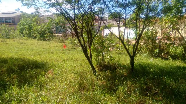 Lote Sucupira Riacho fundo 1 aceito troca e financio - Foto 4