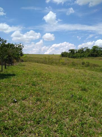 Sitio á venda em Fernandópolis - Foto 17